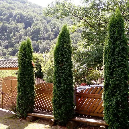 Lodge Romantyka Yaremche
